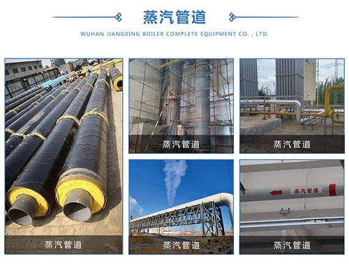 武汉江星锅炉公司 图 蒸汽管道安装价格 鄂州蒸汽管道
